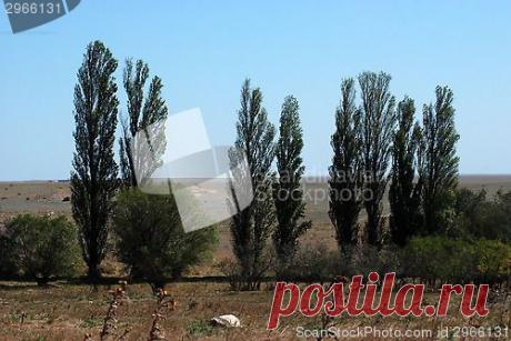 ScandinavianStockPhoto.com