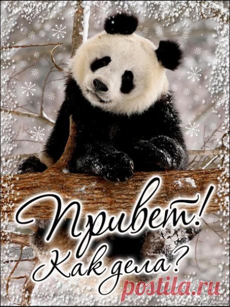 Приветик:)
 Красивые картинки и открытки  vk.com/fotomimi