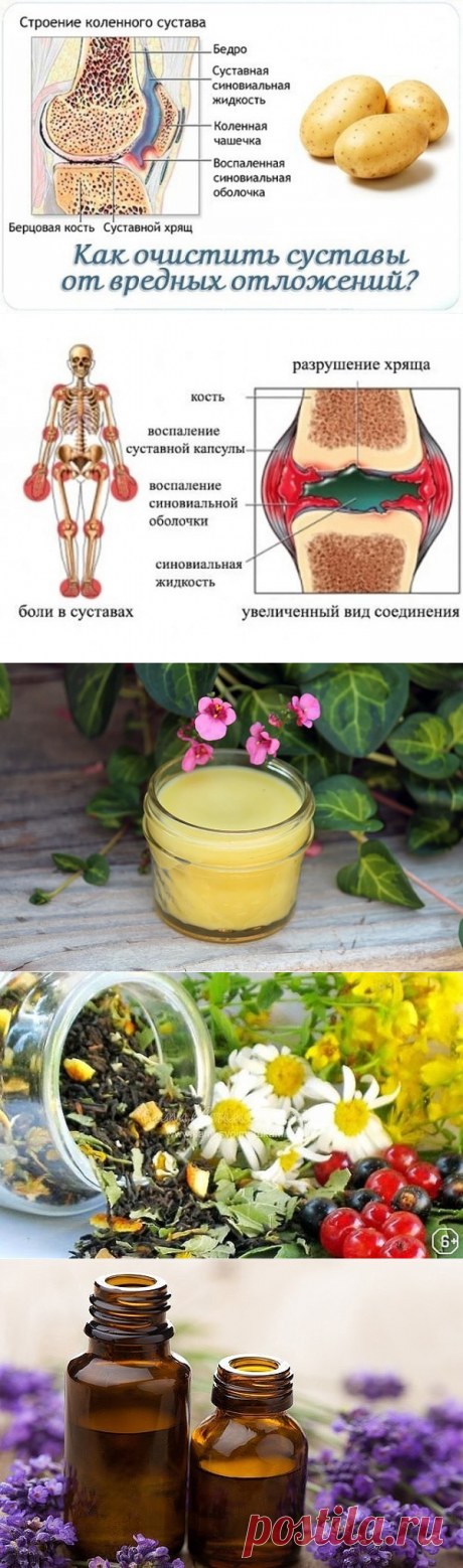 (40) Одноклассники