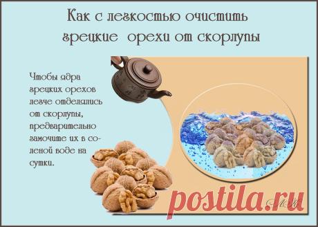 Советы на заметку