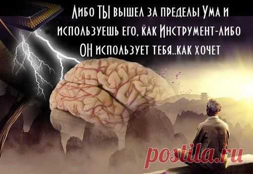 Мир, в информационном смысле, это широкополосный сигнал. Каждый принимает лишь свой, ограниченный диапазон частот!