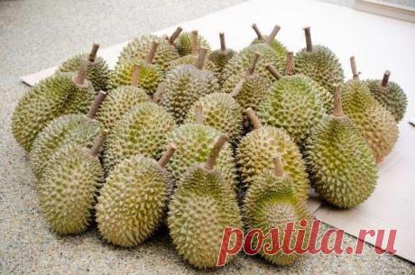 10 удивительных фактов о фруктах, которые вы, возможно, не знали | Я ЗДОРОВ!