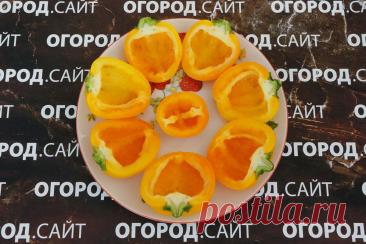 Перец сладкий Янтарный, семена | ОГОРОД.сайт