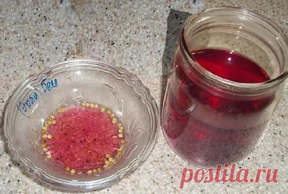 ОСОБЫЙ СПОСОБ ПОДГОТОВКИ СЕМЯН