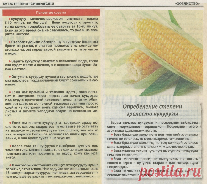 Кукуруза - советы по приготовлению