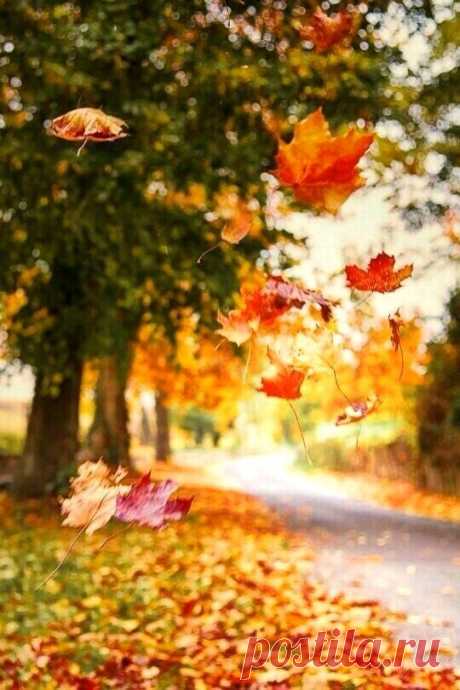 (7) Facebook