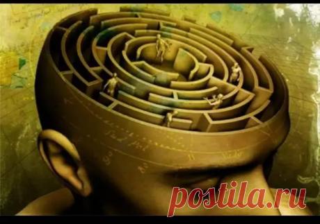 (4) От абьюза до эйджизма: краткий словарь для понимания, чего хотят активисты - ПолонСил.ру - социальная сеть здоровья - 25 апреля - 43635832572 - Медиаплатформа МирТесен