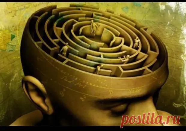 (4) От абьюза до эйджизма: краткий словарь для понимания, чего хотят активисты - ПолонСил.ру - социальная сеть здоровья - 25 апреля - 43635832572 - Медиаплатформа МирТесен