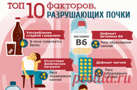 Топ-10 факторов, разрушающих почки Какую диету надо соблюдать для профилактики заболевания мочевыводящей системы