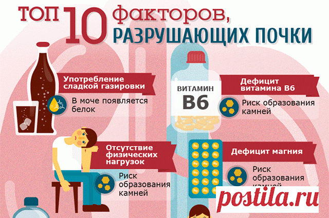 Топ-10 факторов, разрушающих почки Какую диету надо соблюдать для профилактики заболевания мочевыводящей системы