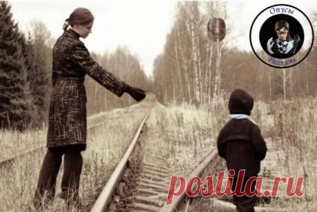 Я своё дело сделала — вырастила. Пришло время отпустить. 16+

Сын у меня месяц назад привёл домой девушку. 
— Мама, это моя Зойка. Мы любим друг друга и будем жить вместе. 
А я что, против что ли? Как любая мать, я желаю счастья своему ребёнку. Хотят жить вместе — пусть живут. 
— Конечно, сыночек. Вы пока идите на кухню, чай попейте. А я вещи твои соберу. 
— В смысле — вещи соберешь? — уставился на меня сын. 
Да, иногда мне кажется, что сын умом явно в отца своего пошёл. 
...