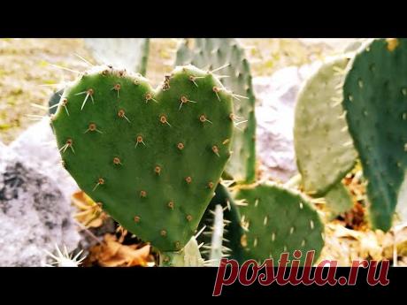 Пункция - это не больно Регулярно проверяйтесь