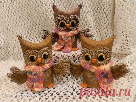 Сова из картонных втулок