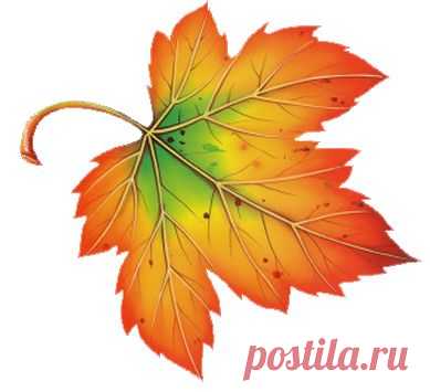 (4) Pinterest