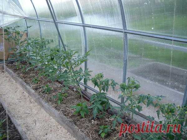 Записки ретрограда, или Почему я возвращаюсь к 