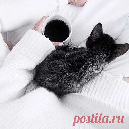 Публикация ❤️⠀⠀⠀⠀⠀⠀⠀⠀⠀⠀⠀⠀⠀⠀M I L S в Instagram • Май 26 2016 в 1:59 UTC 103 отметок «Нравится», 2 комментариев — ❤️⠀⠀⠀⠀⠀⠀⠀⠀⠀⠀⠀⠀⠀⠀M I L S (@mils_russia) в Instagram: «Доброе утро, девушки. Спешим поделиться с вами чудесными новостями. В ближайшие дни мы презентуем…»