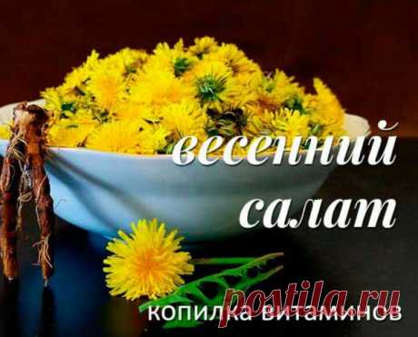 Салат из одуванчика.

Молоденькие листья промыть в холодной воде, мелко нарезать. Соль, перец, другие приправы можно добавить по вкусу. Заправить льняным маслом. По желанию в этот салат можно добавить любую зелень. Лук, укроп, петрушка и т.д.

Кофе из одуванчика.

Корни одуванчика очистить, промыть, обсушить. Обжарить в духовке до золотисто — коричневого цвета. После этого смолоть все на кофемолке. Заваривать эти корни в горячей воде, как кофе. Добавляйте все по вкусу. Нач...