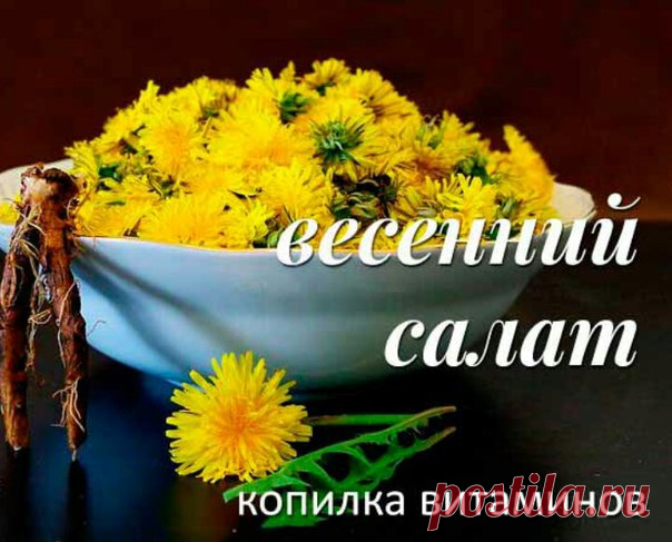 Салат из одуванчика.

Молоденькие листья промыть в холодной воде, мелко нарезать. Соль, перец, другие приправы можно добавить по вкусу. Заправить льняным маслом. По желанию в этот салат можно добавить любую зелень. Лук, укроп, петрушка и т.д.

Кофе из одуванчика.

Корни одуванчика очистить, промыть, обсушить. Обжарить в духовке до золотисто — коричневого цвета. После этого смолоть все на кофемолке. Заваривать эти корни в горячей воде, как кофе. Добавляйте все по вкусу. Нач...
