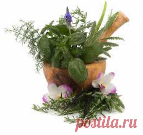Твоя Йога. Система исцеления Веретенникова. 18 золотых правил исцеления.