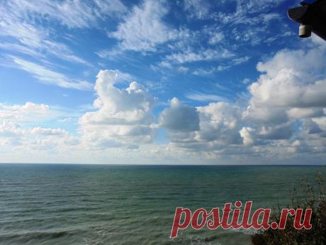 (50) Одноклассники