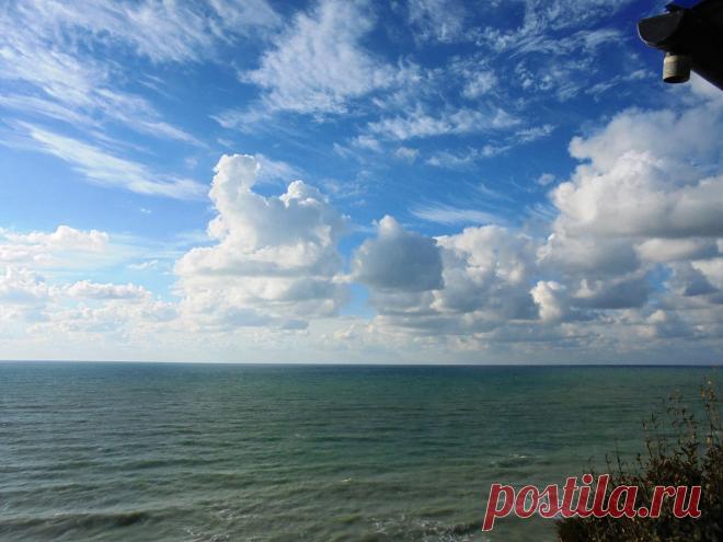 (50) Одноклассники