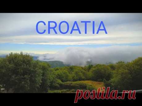 #Croatia О тестах. Австриец о бедных овцах-история из Хорватии