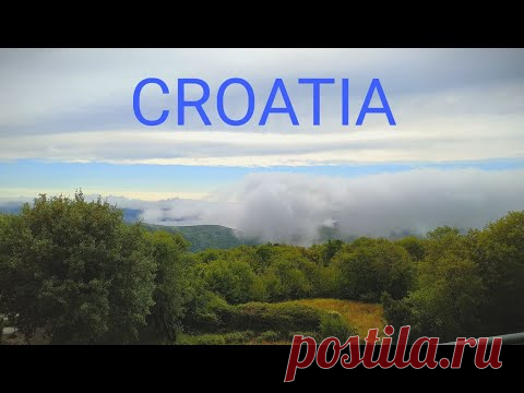 #Croatia О тестах. Австриец о бедных овцах-история из Хорватии