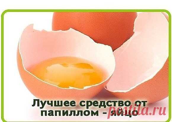 Лучшее средство в борьбе с папилломами-яйцо. 

Несмотря на то, что папиллома – это ни что иное, как доброкачественное новообразование, оно в крайне редких случаях может стать злокачественным. Кроме того, эта проблема – результат наличия в организме вируса человеческой папилломы. И зачастую полностью избавиться от папиллом можно только после специальной антивирусной терапии. Так что лучше всего использовать народные рецепты как вспомогательное, а не основное средство. 

Леч...
