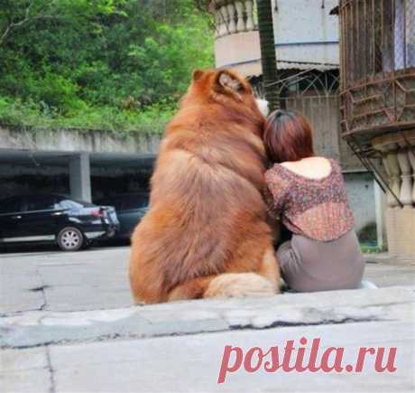 До глубины души. Обалденно!