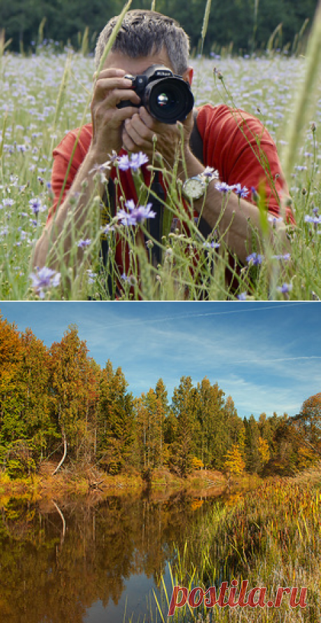 Фотолюбитель Pechen - Фото и фотограф на Расфокусе.