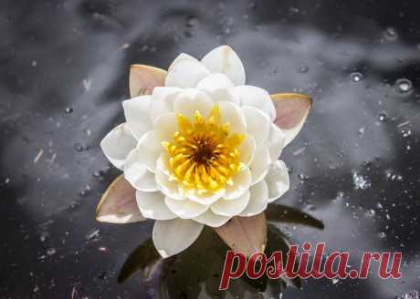 Редактировать описание