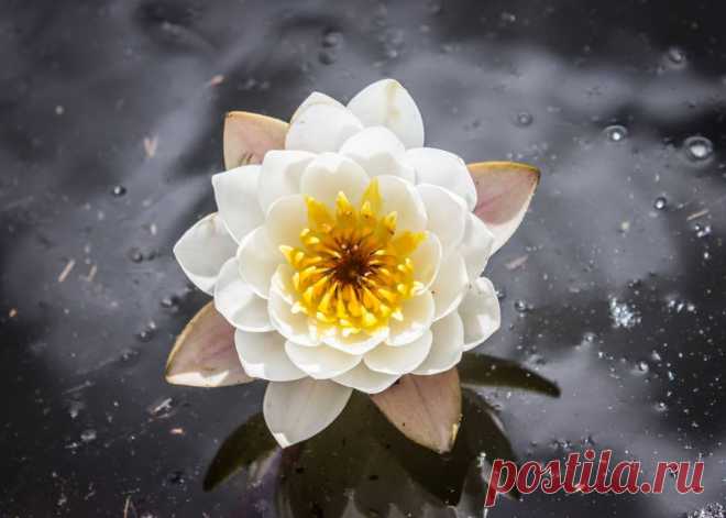 Редактировать описание