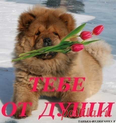 всё по компьютеру © и все что касается Фотошопа - Группы Мой Мир