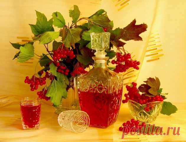 Рецепт калинового ликера