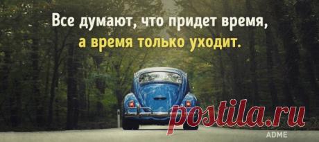 7 метких открыток недели