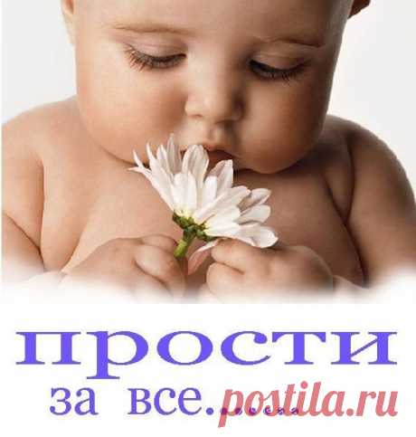Ёжик мой колючий