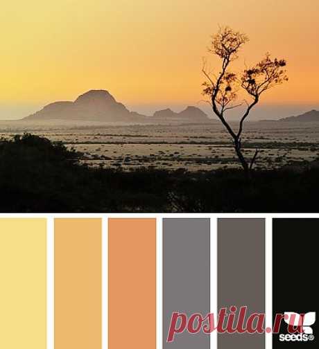 Design Seeds® | find your palette