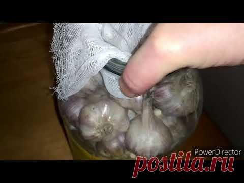 ЛУЧШИЙ СПОСОБ ХРАНЕНИЯ ЧЕСНОКА. ИЗВИНИТЕ МЕНЯ ЗА МОЙ ФРАНЦУСКИЙ