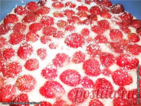 Рецепт заливного сладкого пирога с клубникой » Журнал "Культура загородной жизни"