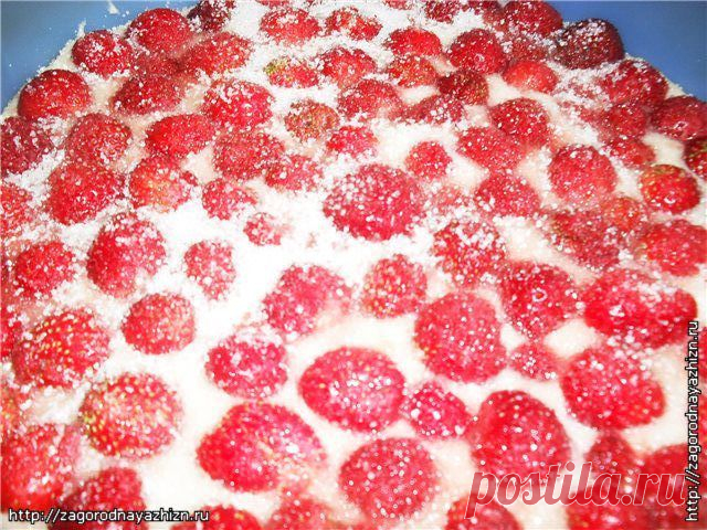 Рецепт заливного сладкого пирога с клубникой » Журнал "Культура загородной жизни"