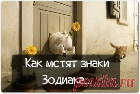 Правда Жизни