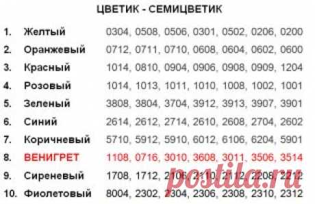 (55) Одноклассники