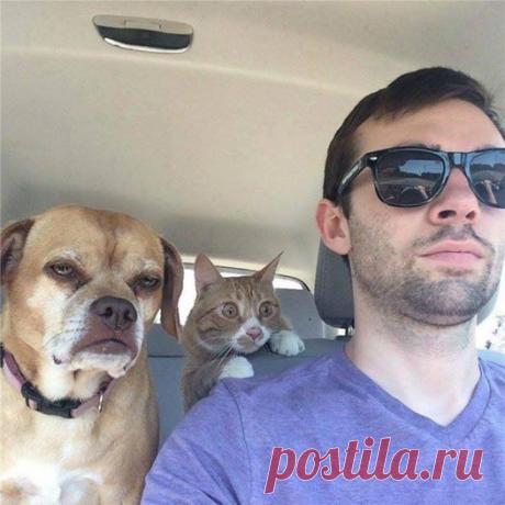 Плохо, когда в команде есть паникёр :)