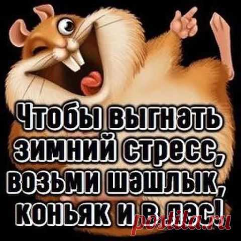 Новости - МирТесен