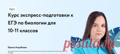 Онлайн подготовка к ЕГЭ, ОГЭ, олимпиадам | VK