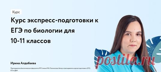 Онлайн подготовка к ЕГЭ, ОГЭ, олимпиадам | VK