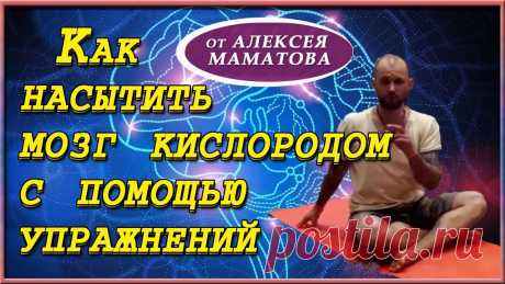 Головной мозг. Очищаем сосуды, насыщаем кислородом, тренируем