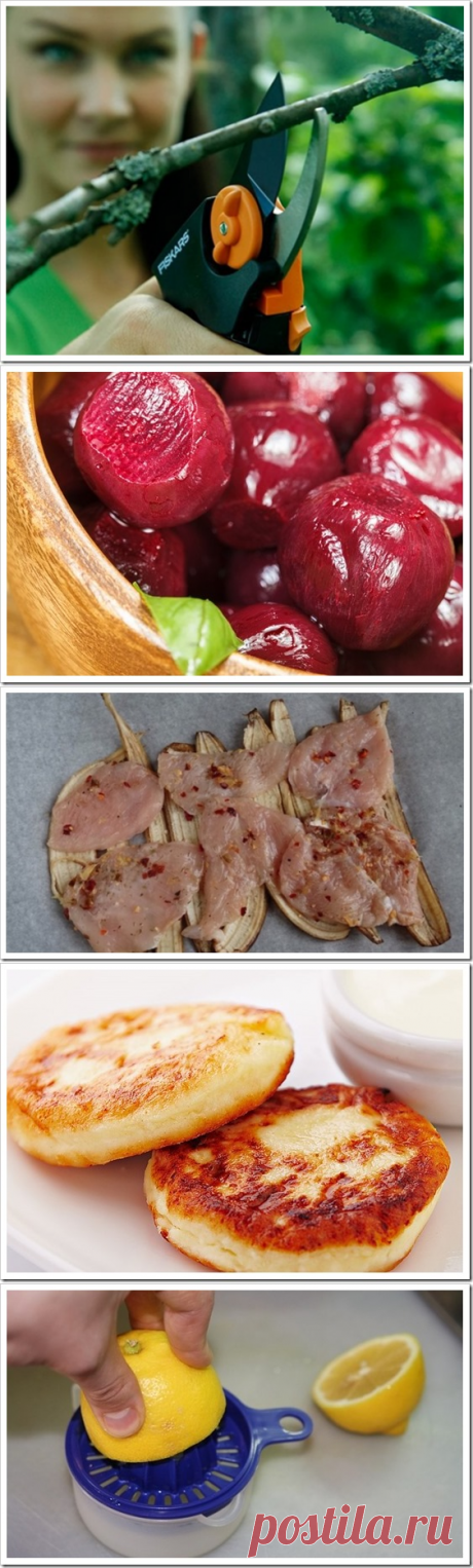 Положи мясо на банановую кожуру и запеки в духовке. Мы верим, что эти секреты вас воодушевят на создание кулинарных шедевров