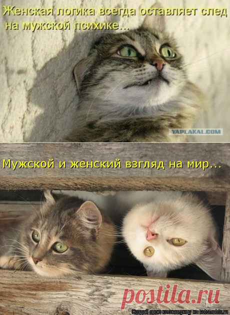 Женская логика в картинках — Болтай