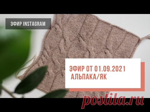 Two hands - Альпака/як/верблюд